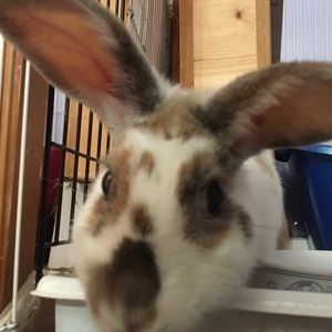 Meet your Posher, Karyn